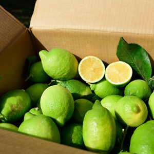 Limone Interdonato 1kg (box 9 kg)