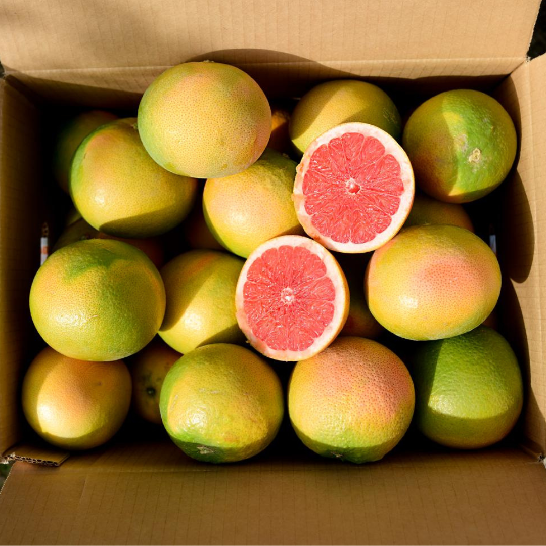 Pink Grapefruit 1 kg (box 9kg)